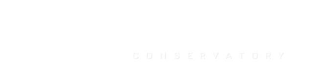 GS Muzik Conservatory